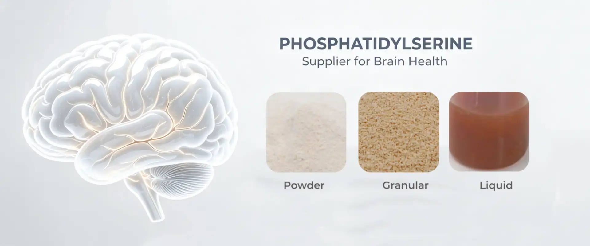 bulk Phosphatidylserine supplier