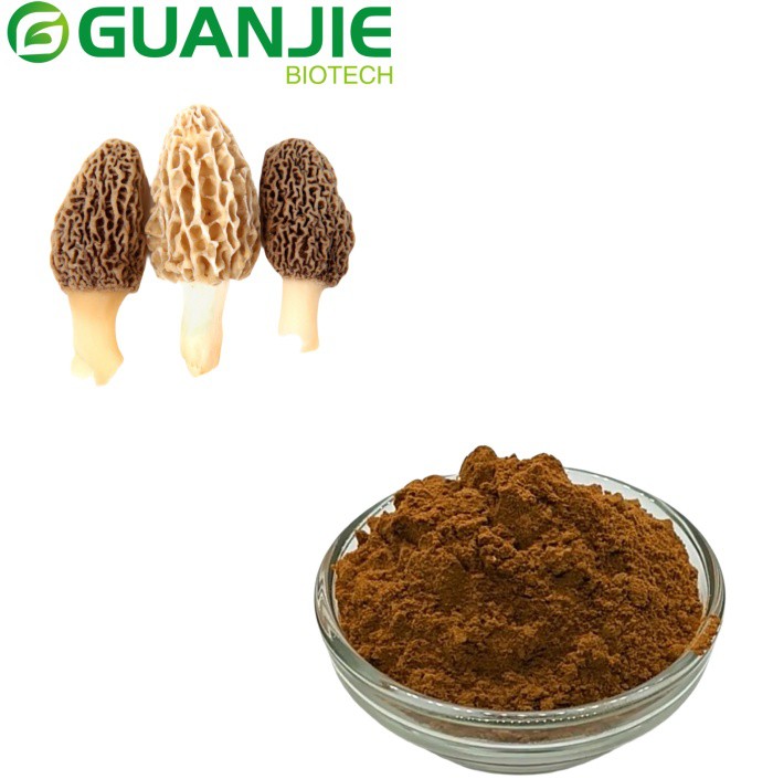 Estratt tal-faqqiegħ Morel