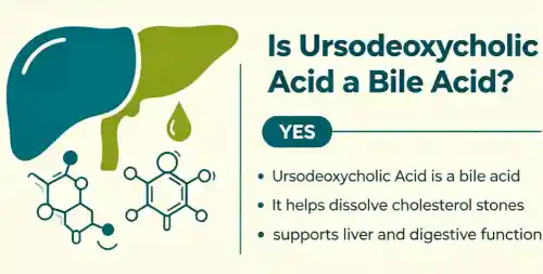 Aċidu Ursodeoxycholic Aċidu Bili?